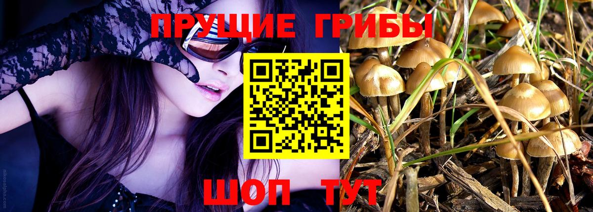 Галлюциногенные грибы MAGIC MUSHROOMS  купить  сайты  Вход с VPN  Клинцы  Псилоцибиновые грибы мицелий 